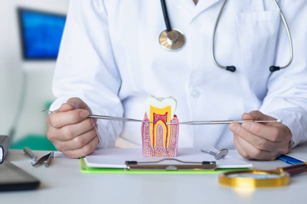 Best 24-Hour Emergency Dentist in Clinton, IL